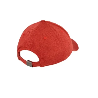Carhartt Wip Delay Cap 'Phoenix/Dahlia' - Image 2