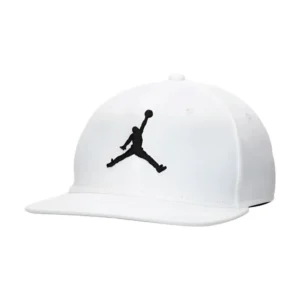 Nike Air Jordan Pro 'White/Black'