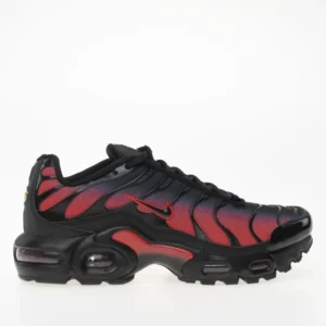Nike Air Max Plus - Bred Gradient