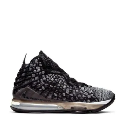 LeBron 17 'In The Arena