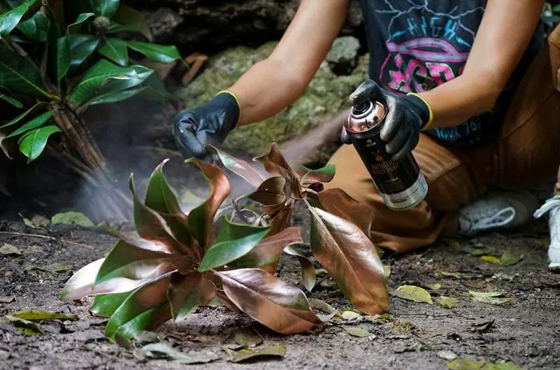 MTN Pro Metálhatású Festék (400ml) - Image 4