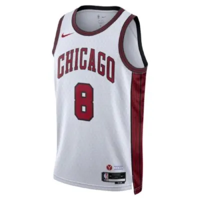 Nike NBA Chicago Bulls 'lavine' Jersey